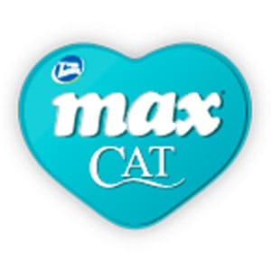 maxx catttt