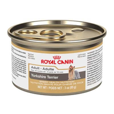 Royal canin lata AD yorkshire terrier
